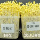국립식량과학원 Cook&Chef