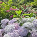 경기농장 이미지