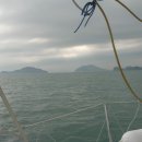 배황순