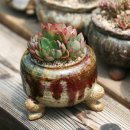 양진농장 이미지