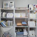 몸에봄을피우다 신가점 | 광주퍼스널컬러 비치미컬러 체형분석&amp;골격진단 솔직후기 👗 나에게 맞는 스타일 찾기