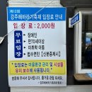 경남 아기와 가기 좋은 함안 강주해바라기 축제