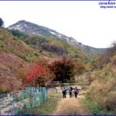 가재골산장 이미지