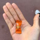 베트남쌀국수(Pho-490) | 수흐바타르 광장 근처 베트남 쌀국수 맛집 ‘Pho House’ 후기 (고수더주세요, 고수빼주세요 몽골어번역)