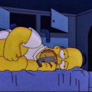 제주 인 포항 이미지