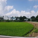 진천군 초평면 오갑보건진료소 | ★초평면 공장부동산경매(2019타경6167) ★진천군 공장경매대행ρ충북 진천군 초평면 오갑리