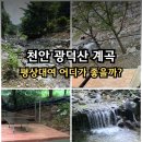 나그네캠핑장 | 천안 광덕산 계곡 평상대여 비교 나그네가든 이용후기