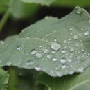 동성농장 이미지