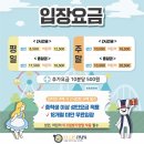 앨리스파파 이미지