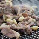 윤농원 | 수원/화성 칠보농원 숯불 오리구이 내돈내산 찐맛집 메뉴O