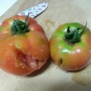엄마농부