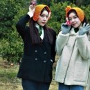 관광농원가든 이미지