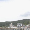 술도둑 - 삼척시 중앙시장1길 22-23 | 진짜 술도둑! 부산 기장 연화리 해녀촌, 콜키지프리 쌉가성비 후기