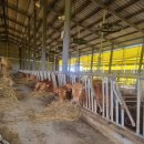 (주)경기사료 이미지