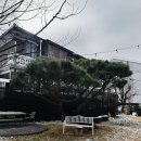 마평4통 이미지