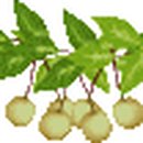 하오건강랜드 이미지