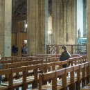 대조-002 이미지