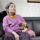 봉희농장 이미지