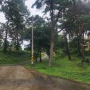 펜션1996 이미지