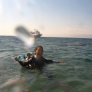 [요르단] 여자혼자 다녀온 요르단 배낭여행 4. 아카바의 바다 속으로~ 이미지