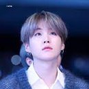 슈가 티스토리