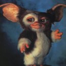 오마이독 이미지