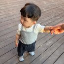 유레브