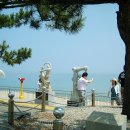 정동진역 이미지