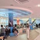 태안군 가족공감센터 어린이 수영장 이미지