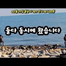 03월 17일 물높이 787 만조 물높이 16시 20분 결과는? 이미지