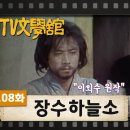 [TV문학관] 108화 장수하늘소 이미지