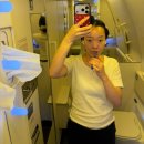 602 | [인천 시드니 아시아나항공] 인천공항 2터미널 이코노미 기내식 OZ601 OZ602 지연 후기 입국심사