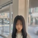 헤어리움 이미지
