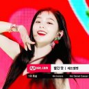 블랙트리 이미지