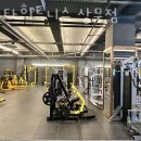 상무 스타 휘트니스 이미지