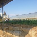 삼호축산 이미지