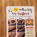 거북이만두 이미지