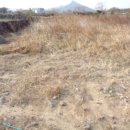 사계초등학교 이미지