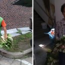 초록마을1단지경로당 이미지