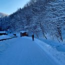 선화목장 이미지