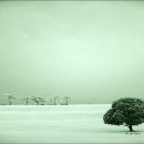 바람꽃뜰 이미지