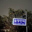 속초솔향민박