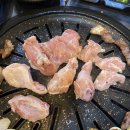 돈구이 바람났네 닭이랑 이미지