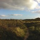 금송아지목장 이미지