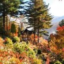 가을 단풍 명소 서울근교 가볼만한곳 가평 아침고요수목원 이미지