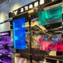 6335 | 다산맛집 회식의 달인 다산 다녀온 후기 다산 소고기 무한리필 고기뷔페 솔직 방문기