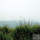 오케이낚시점