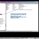 윈도우즈D 이미지