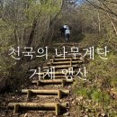 앵산약수터 이미지