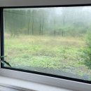 우월한스테이 이미지